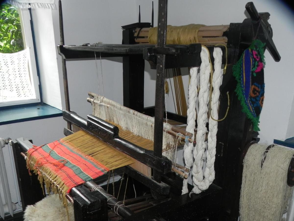 Iedera Casa De Familii 1 Ξενοδοχείο Pianu de Sus Εξωτερικό φωτογραφία