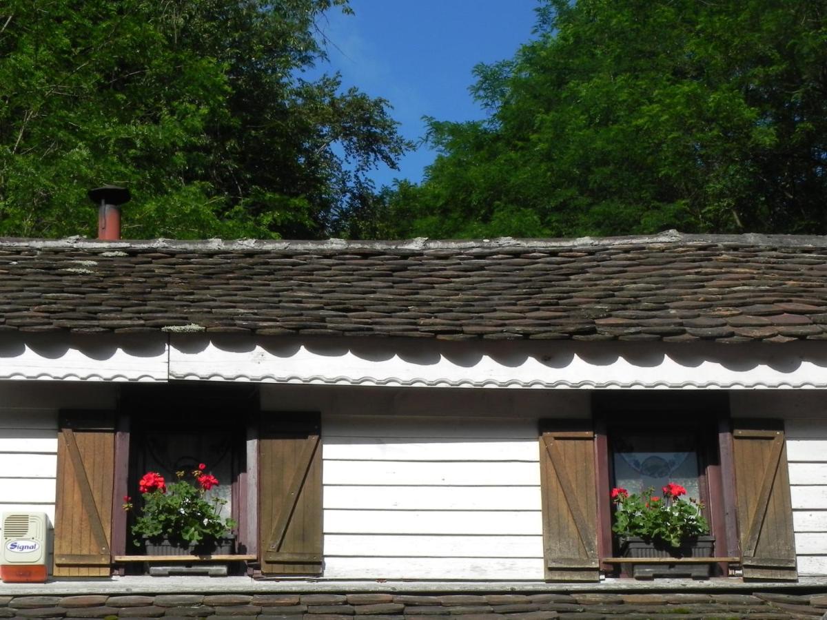 Iedera Casa De Familii 1 Ξενοδοχείο Pianu de Sus Εξωτερικό φωτογραφία