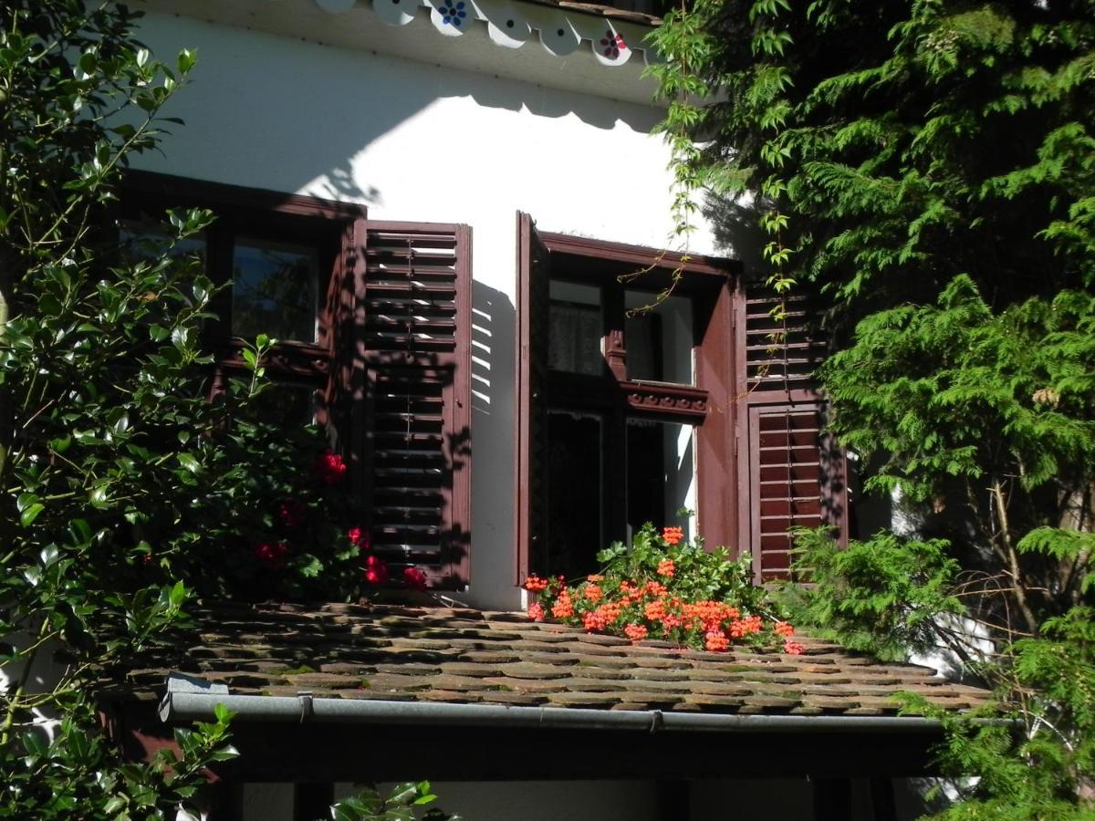 Iedera Casa De Familii 1 Ξενοδοχείο Pianu de Sus Εξωτερικό φωτογραφία