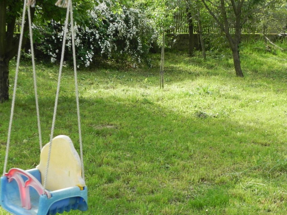 Iedera Casa De Familii 1 Ξενοδοχείο Pianu de Sus Εξωτερικό φωτογραφία