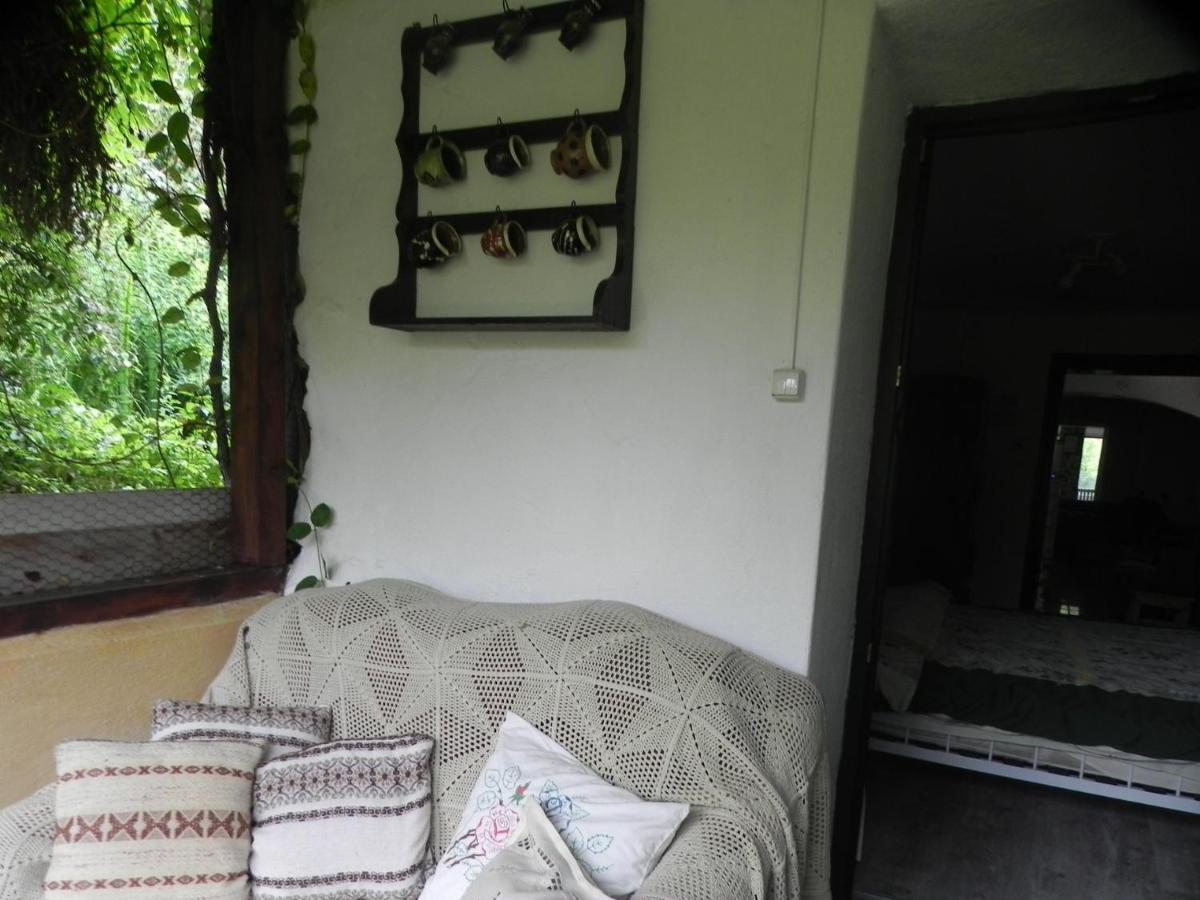 Iedera Casa De Familii 1 Ξενοδοχείο Pianu de Sus Εξωτερικό φωτογραφία
