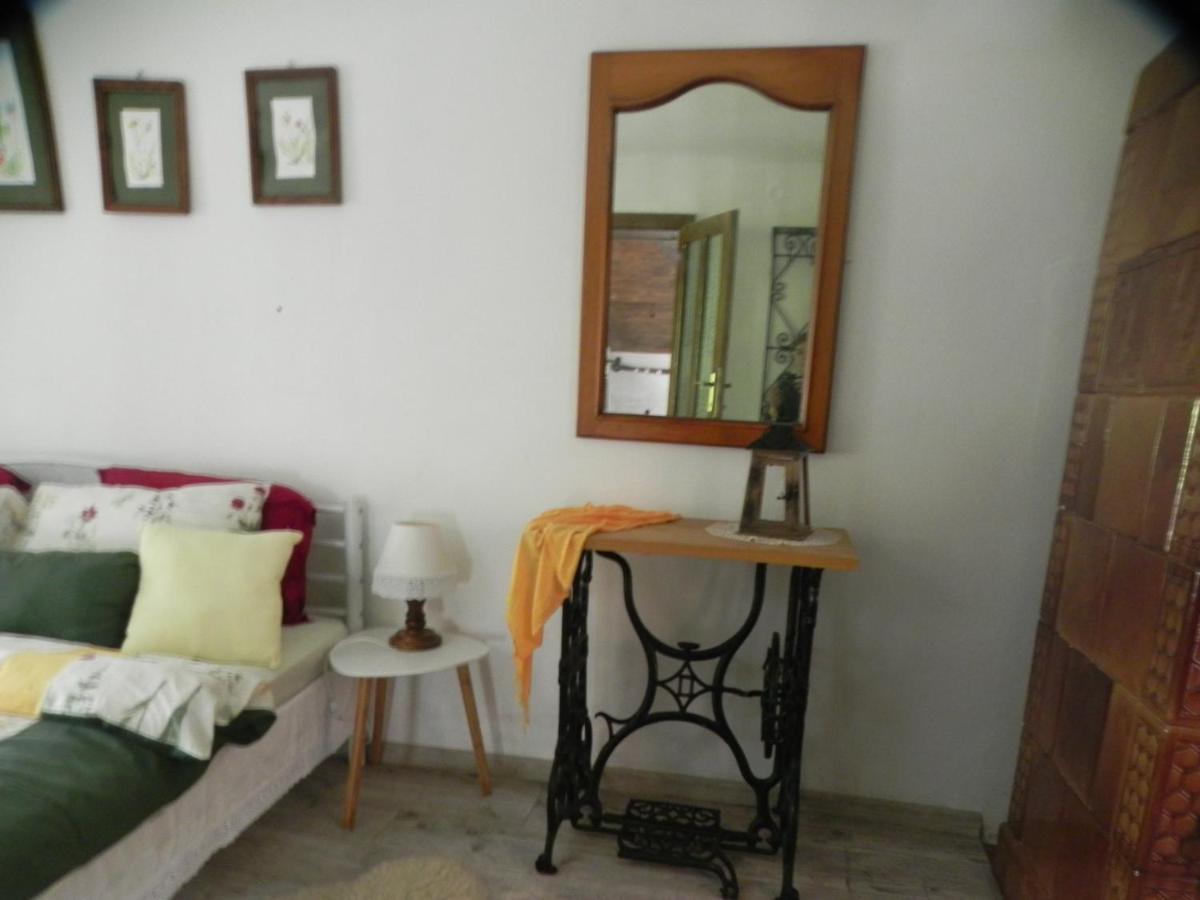 Iedera Casa De Familii 1 Ξενοδοχείο Pianu de Sus Εξωτερικό φωτογραφία