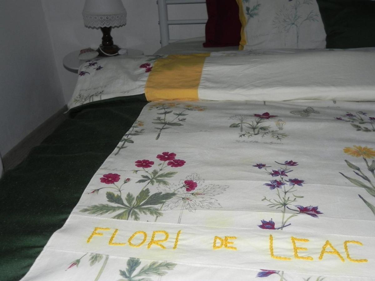 Iedera Casa De Familii 1 Ξενοδοχείο Pianu de Sus Εξωτερικό φωτογραφία