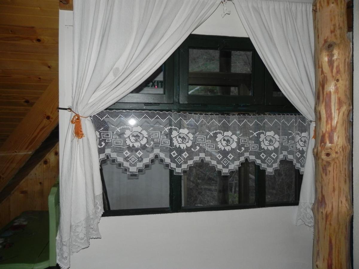 Iedera Casa De Familii 1 Ξενοδοχείο Pianu de Sus Εξωτερικό φωτογραφία
