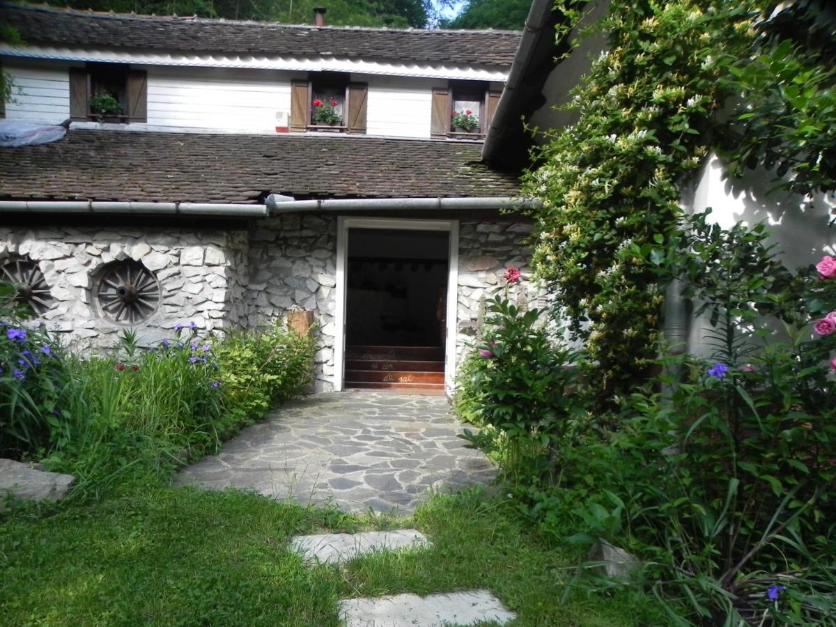 Iedera Casa De Familii 1 Ξενοδοχείο Pianu de Sus Εξωτερικό φωτογραφία