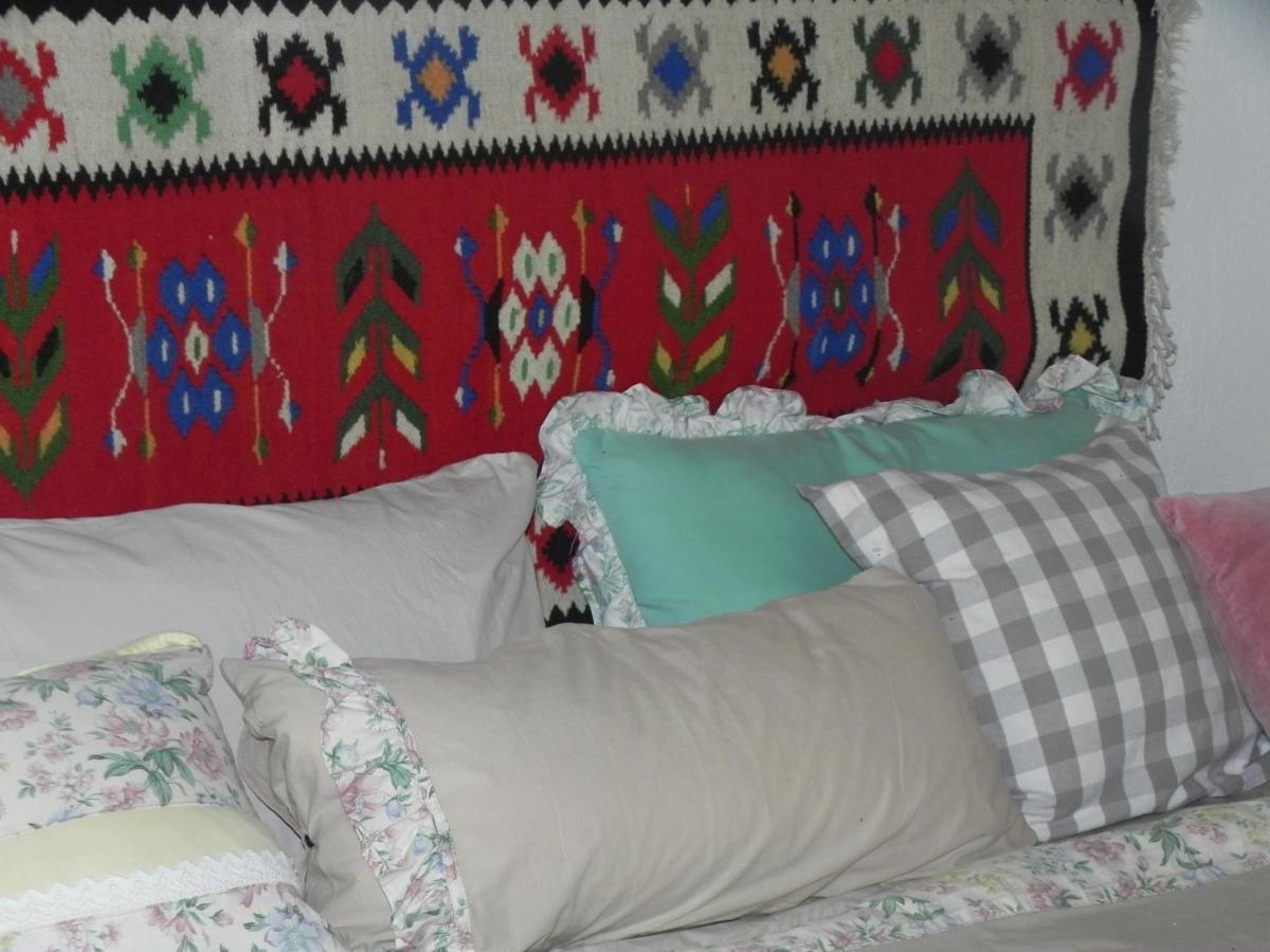 Iedera Casa De Familii 1 Ξενοδοχείο Pianu de Sus Εξωτερικό φωτογραφία