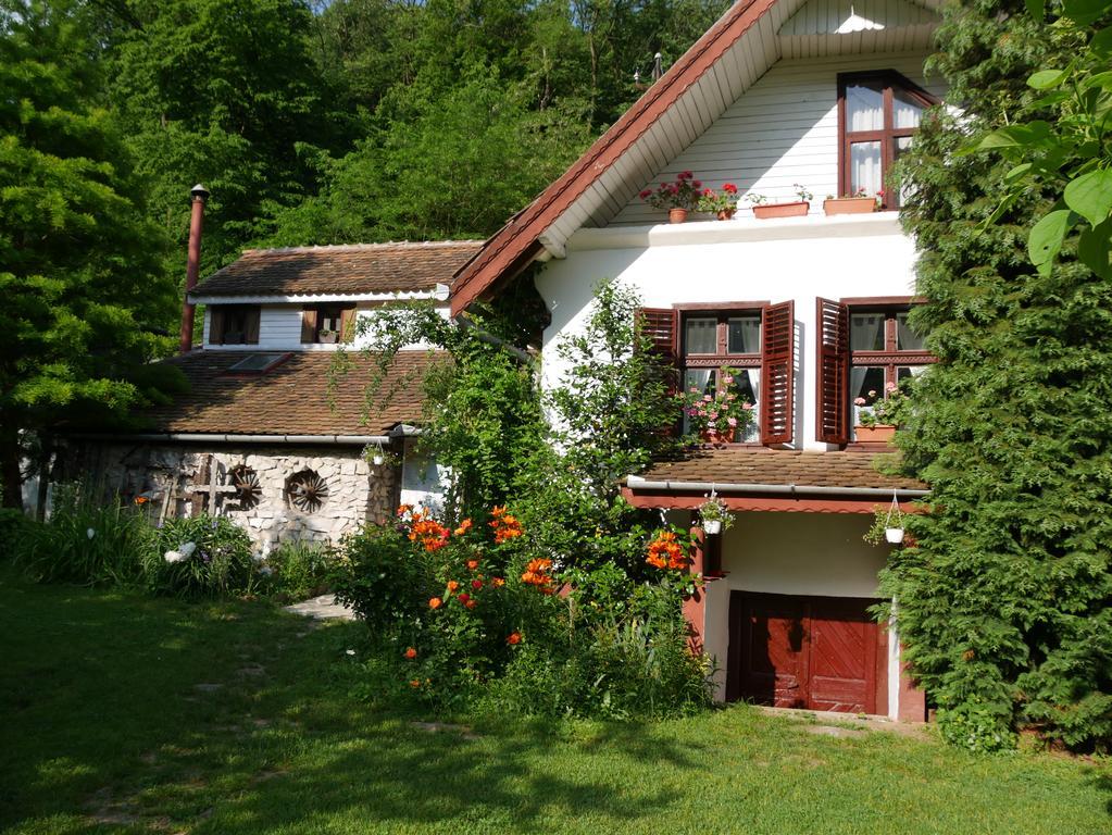 Iedera Casa De Familii 1 Ξενοδοχείο Pianu de Sus Εξωτερικό φωτογραφία