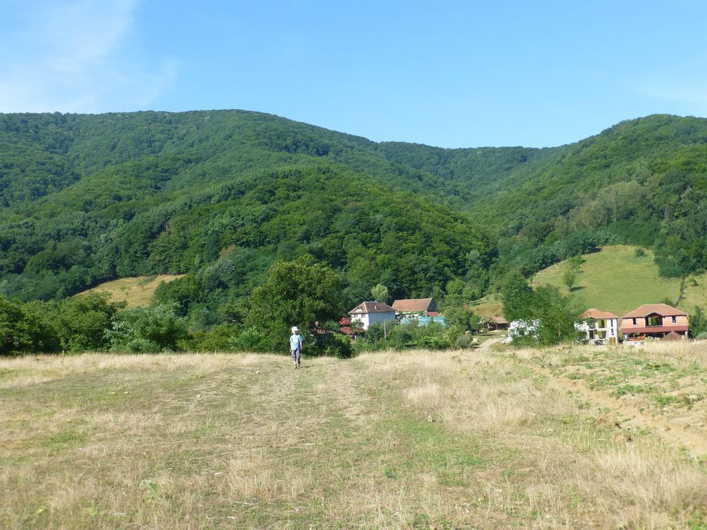 Iedera Casa De Familii 1 Ξενοδοχείο Pianu de Sus Εξωτερικό φωτογραφία